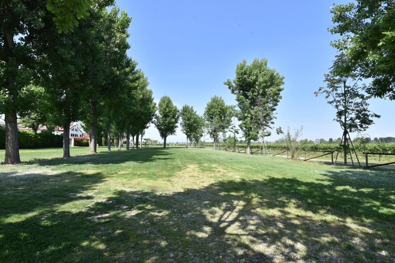 مبيت وإفطار Campo San Martino Tenuta Le Risare المظهر الخارجي الصورة